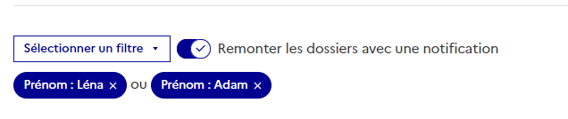 Capture d’écran récapitulant une combinaison de filtres sur une même colonne